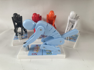 人体举重时脊椎腰椎受力演示模型抬举搬运健康操作健身安全演示