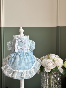 AW原创静谧蓝调春夏新款防掉毛立体蝴蝶公主裙波斯猫马尔济斯服饰