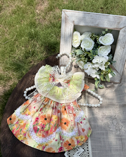 AW手工定制狗狗印花连衣裙亮眼花色不规则裙摆宠物度假风公主裙