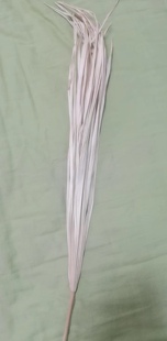 棕叶扇芭蕉扇扇子原材料手工编制扇子成人扇儿童扇天然棕树芯处理