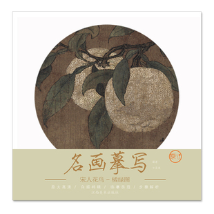 名画摹写·宋人花鸟·橘绿图 原大原图临摹国画工笔画描摹画册绘画书 零基础初学入门学生成人自学白描样稿线稿画谱图稿底稿