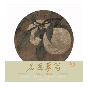 名画摹写·宋人花鸟·橘绿图 零基础初学入门学生成人自学白描样稿线稿画谱图稿底稿 原大原图临摹国画工笔画描摹画册绘画书