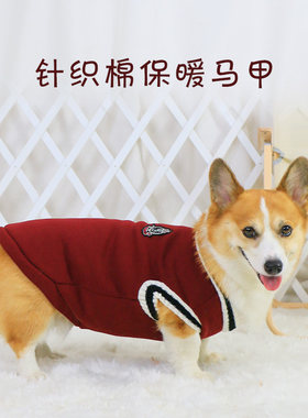 宠物狗狗衣服秋冬款冬季柯基泰迪柴犬比熊网红冬天保暖毛衣背心冬