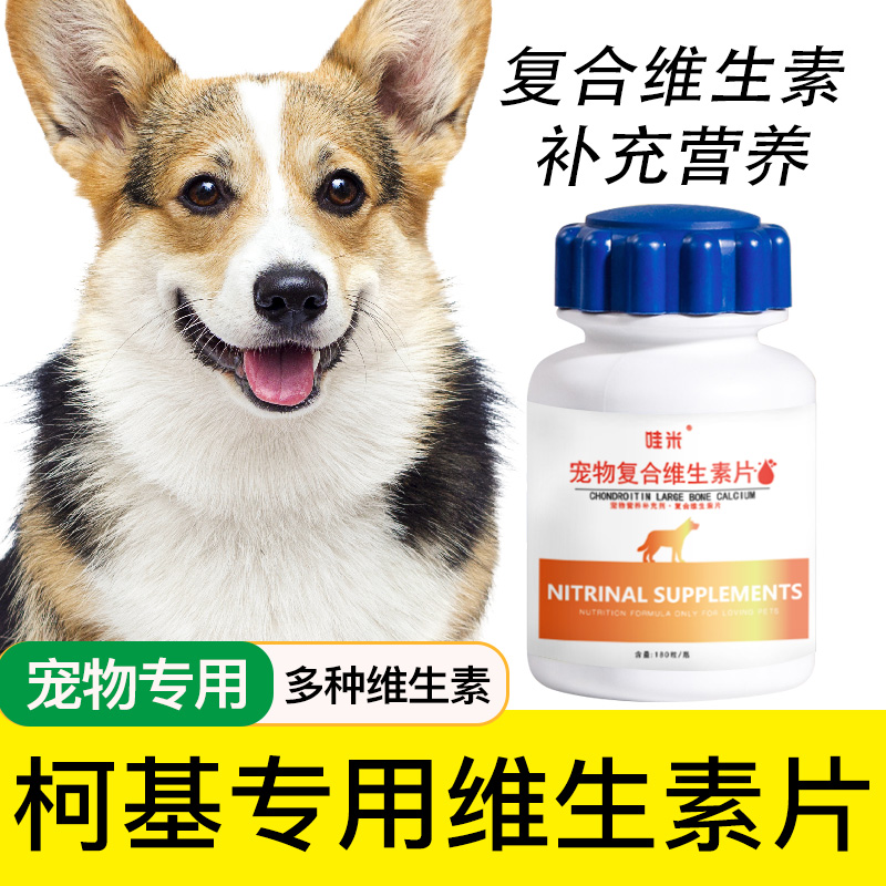 柯基专用复合维生素片微量元素多种维生素幼犬成犬宠物营养品