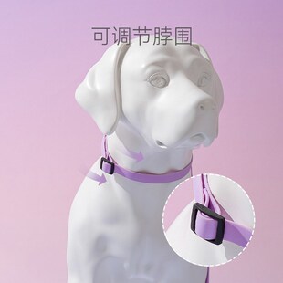 博美犬专用牵引绳博美狗绳网红小狗项圈小体狗狗遛狗绳狗链子绳子