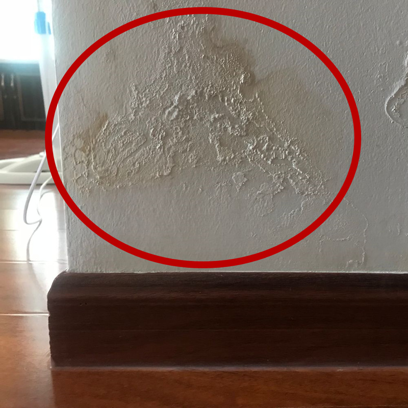 围裙韩版时尚可爱女厨房做饭防水防油成人男背心式家用