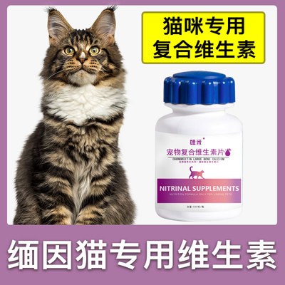 缅因猫专用复合维生素片宠物补充剂成幼猫维生素B猫咪营养品保健