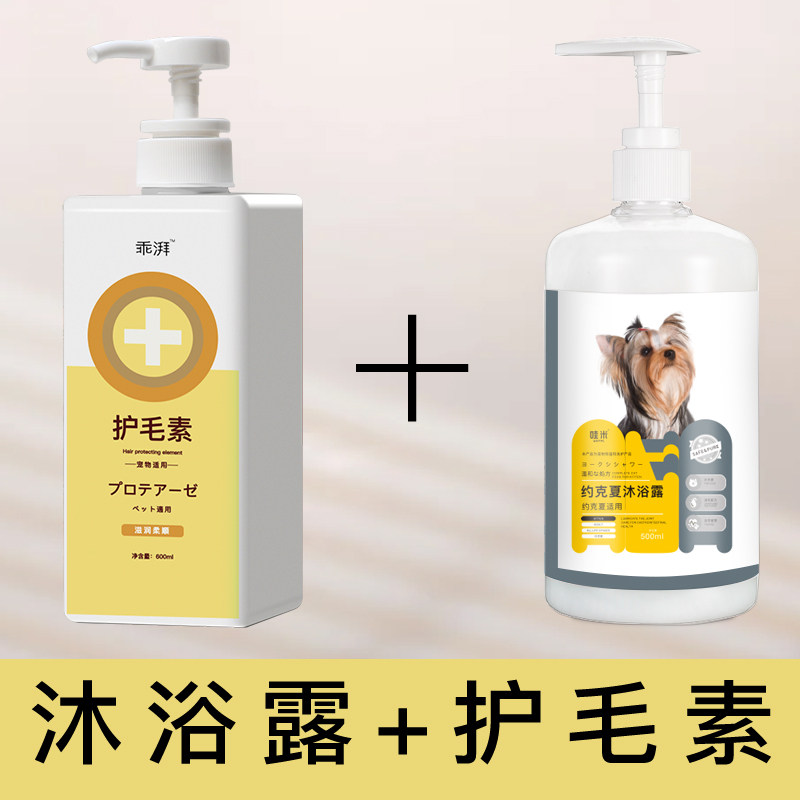 约克夏沐浴露专用狗狗洗澡用品除臭长毛宠物西施犬香波浴液,宠物/宠物食品及用品,狗香波浴液,淘宝优惠券,粉丝福利购,淘宝优惠卷