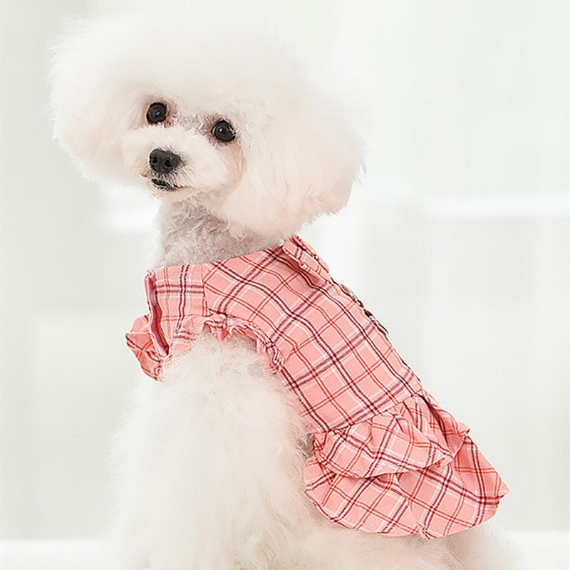 宠物狗裙子 春夏季薄款纯棉韩版格子带牵引绳猫咪洋装 狗狗衣服