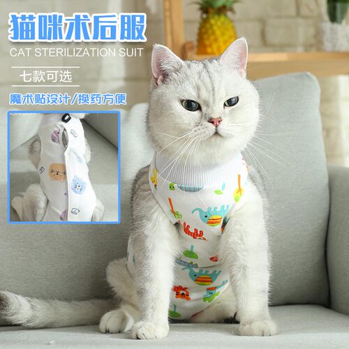 猫咪绝育服母猫公猫手术服断奶服术后防舔宠物防掉毛夏季衣服防咬