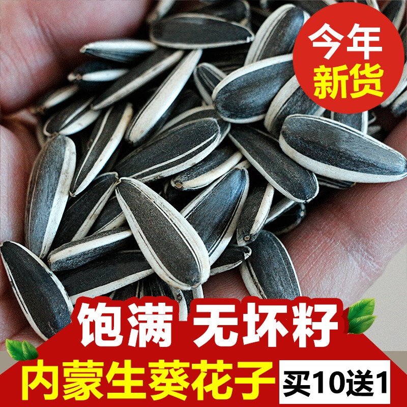 2025生瓜子 内蒙古大颗粒生葵花籽新货 河套五原县散装葵花子孕妇