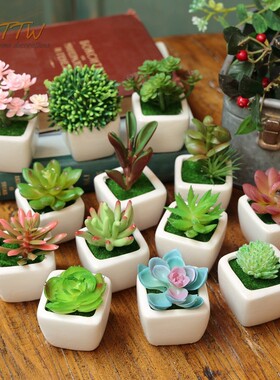 zakka迷你仿真绿色多肉植物盆景假花套装摆件室内工艺品装饰花艺