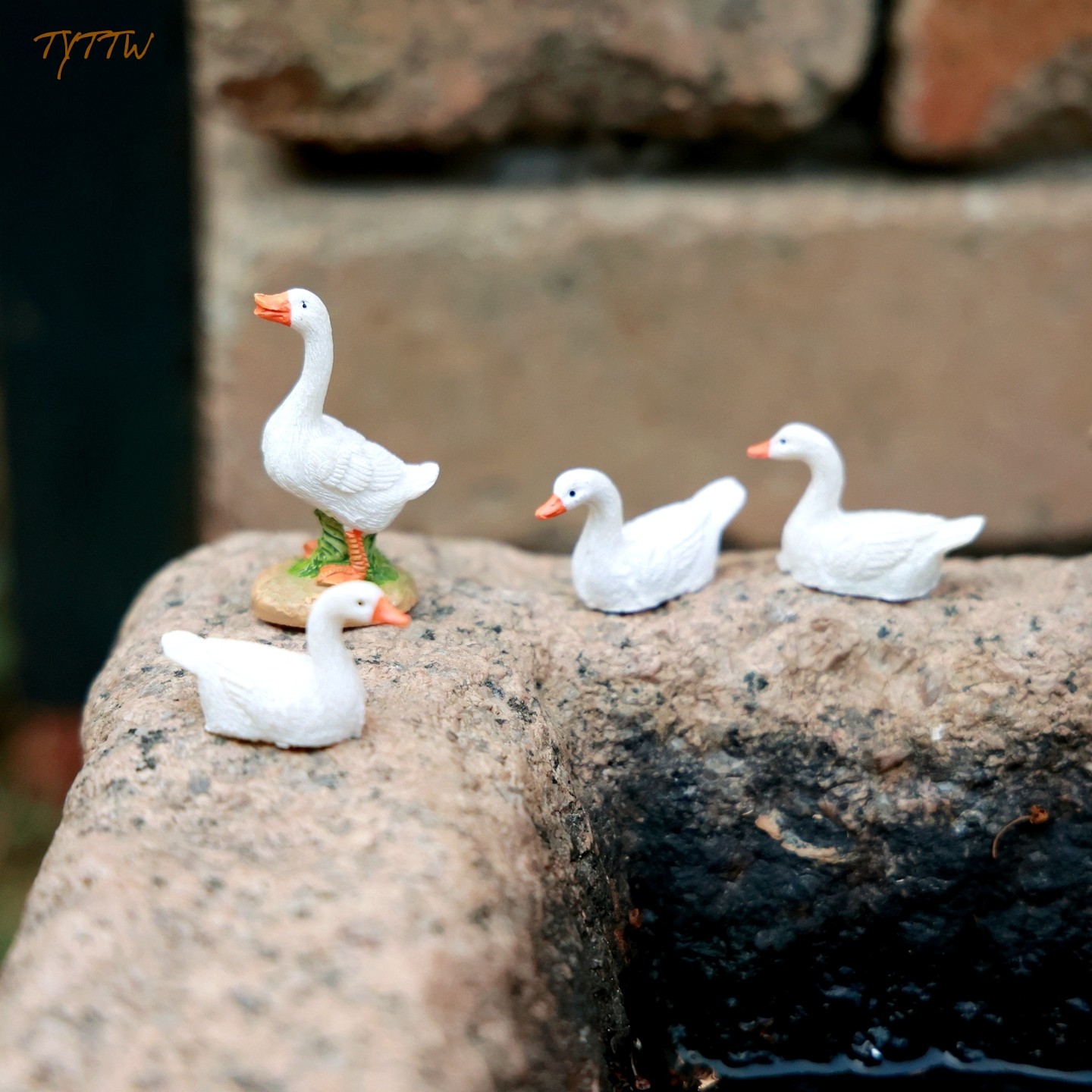 创意可爱个性小鸭子动物摆设水池鱼缸造景庭院阳台花园装饰摆件