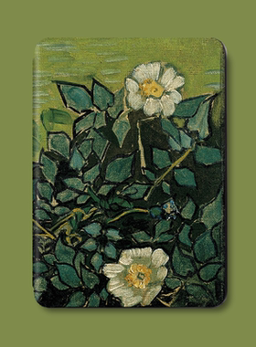 适用kindle保护套paperwhite3/4/5咪咕colorsoft壳KPW6青春版2024入门款KPW4套558磁吸休眠M2L3E梵高野玫瑰画