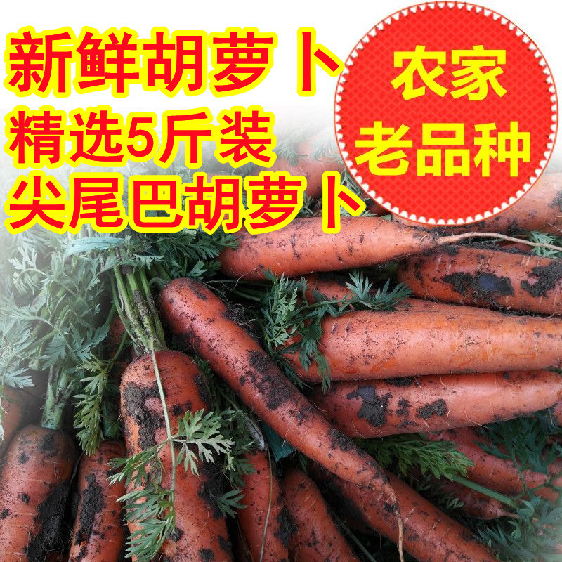 新鲜胡萝卜红萝卜农家无公害新鲜蔬菜宝宝辅食小人参5斤黄胡萝卜 水产肉类/新鲜蔬果/熟食 萝卜/胡萝卜 原图主图