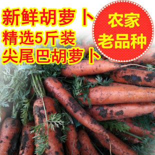 新鲜胡萝卜红萝卜农家无公害新鲜蔬菜宝宝辅食小人参5斤黄胡萝卜