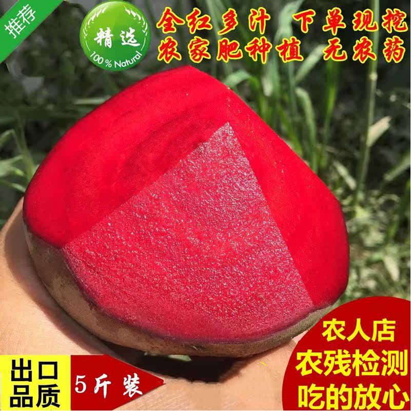 2026检疫新鲜甜菜根现挖发货甜菜头精选有机肥种植红菜头纯红多汁