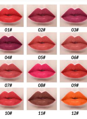 12 Color Matte Brown Lip Liner Waproof Long Lasting