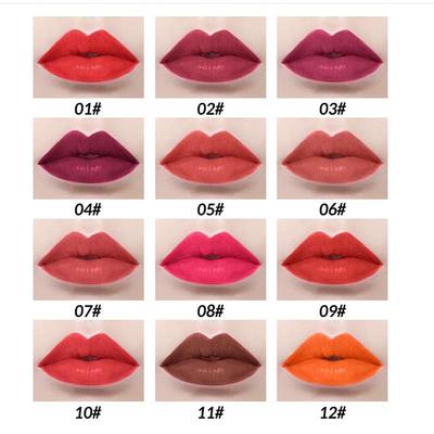 12 Color Matte Brown Lip Liner Waproof Long Lasting