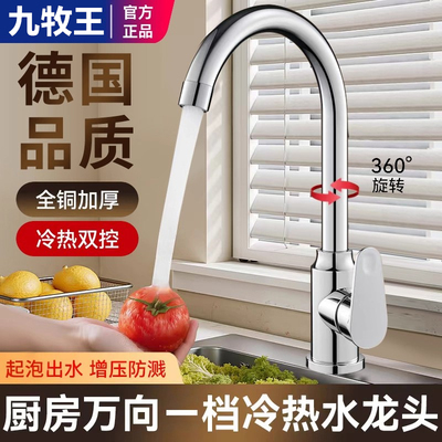 九牧王适用全铜厨房冷热水龙头