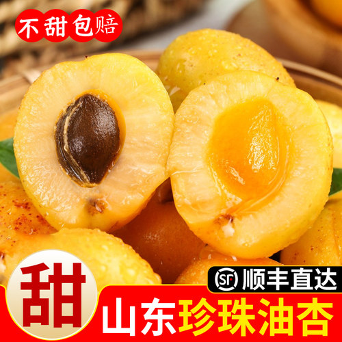 不甜包赔山东珍珠油杏