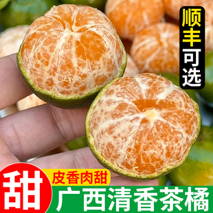 广西清香蜜桔纯甜清香茶橘巴西柑新鲜水果青皮小橘子砂糖橘顺丰