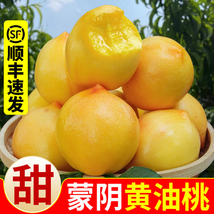 蒙阴黄桃黄金油桃新鲜水果黄肉蜜桃孕妇应季山东脆甜黄心桃子5斤