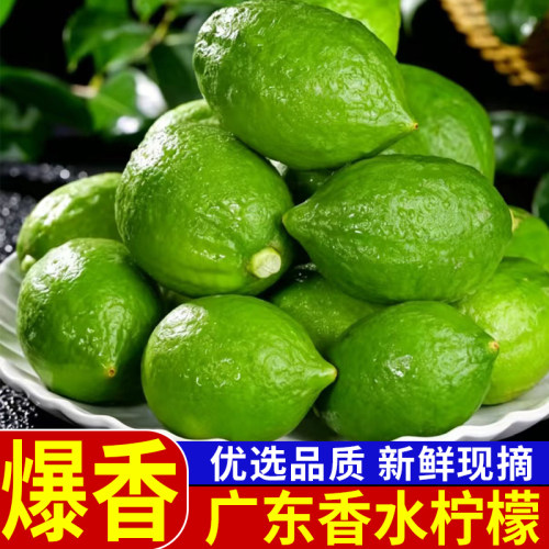 广东香水柠檬大果一级奶茶店专用