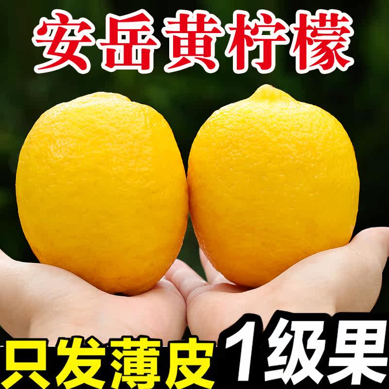 安岳柠檬精选一级果皮薄多汁