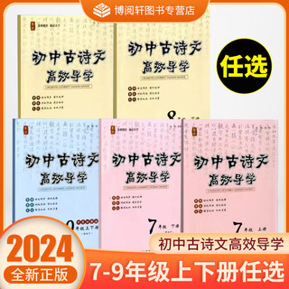 2024新版 全效 初中古诗文高效导学 七八九年级上下册 课内外课内同步课外延伸知识清单名著高效导学期末学能评价QX