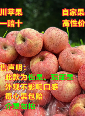 2025年10月新果二级红富士