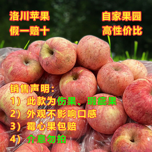 2025年10月新果二级红富士