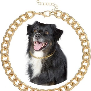 跨境热销狗狗金链子项链宠物链子粗金链子古巴链犬类项饰圈子批发
