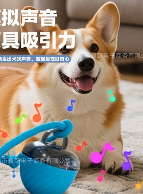 跨境电动宠物解闷玩具球滚动球遥控充电款狗狗玩具耐咬互动逗狗球