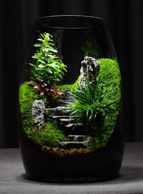 微景观中式创意假山流水陶罐造景植物家居室内客厅办公室桌面摆件