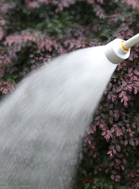 花园1000目育苗喷枪花园洒水器2000目超细长杆喷水枪浇花浇菜喷头