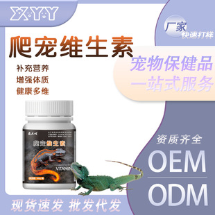 爬宠维生素粉40g补充多种营养均衡适合体质虚弱现货一代发宠物