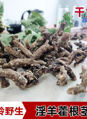野生秦岭淫羊藿仙灵脾