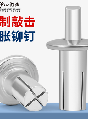 沪心新型敲击式铝铆钉膨胀螺丝钉圆头击芯铆钉锤击卡扣子母铆钉M5