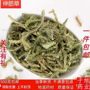 野生伸筋草中药材正品特级小伸筋草的功效与作用石松舒筋草透骨草
