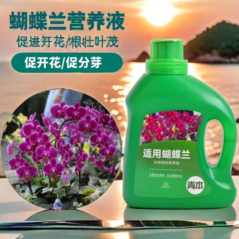 蝴蝶兰肥料专用肥兰花有机营养液促进开花液体肥营养肥君子兰腰肥