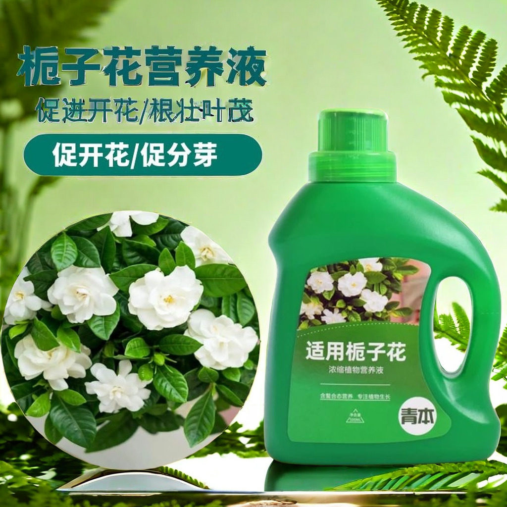 栀子花肥料专用肥营养液花卉盆栽植物开花通用型土培水培家用花肥