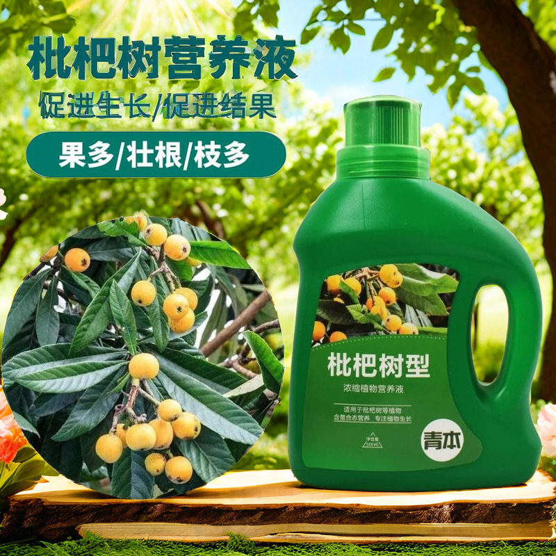 枇杷肥料专用肥营养液金丸树肥料有机营养液复合肥颗粒肥料缓释肥