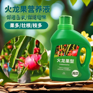 火龙果树肥料专用肥营养液苗有机复合化肥红心黄白心开花生根盆栽