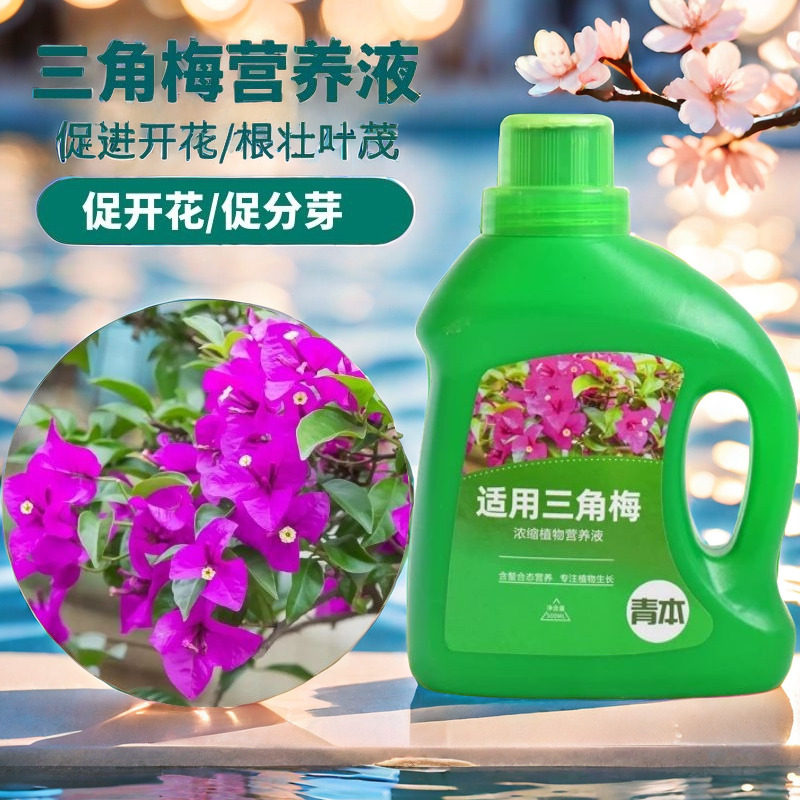 三角梅肥料专用肥植物营养液梅花盆栽家用花卉养花促开花腊梅通用