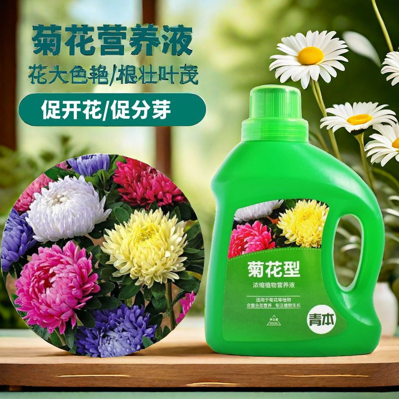 菊花专用肥料营养液专用肥金英肥料秋菊雏菊开花盆栽大白菊花卉用