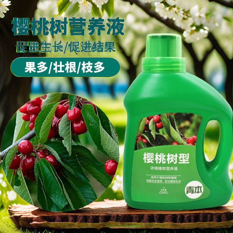 樱桃树营养液果树车厘子树苗肥料大樱桃树专用肥开花结果有机肥料