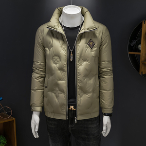 轻奢款男士冬季加厚保暖羽绒服压花修身立领外套白鸭绒8601P310,男装羽绒服,电商D220