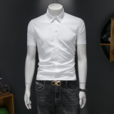 2026男士潮流新款修身莫代尔刺绣衬衣青年短袖衬衫H3372P120，男装T恤，电商D220