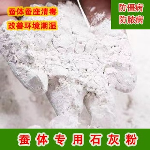 蚕宝宝专用石灰粉小蚕宝实用工具消菌杀毒防潮养蚕病脱皮清理卫生